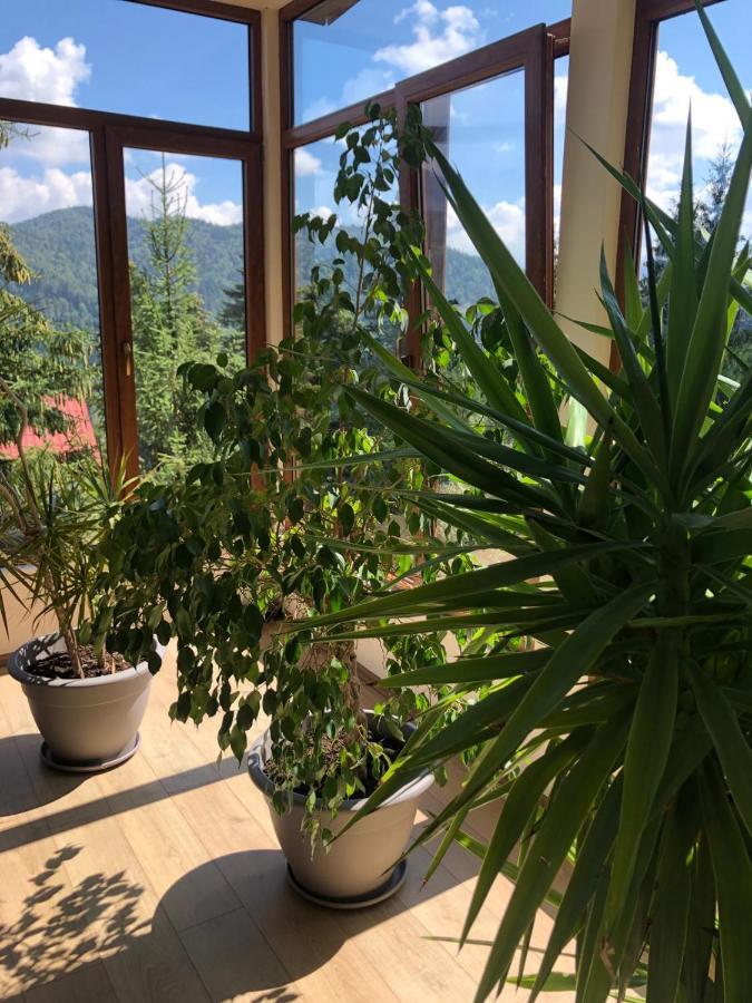 Genco Hotel Mountain View Predeal Exterior foto